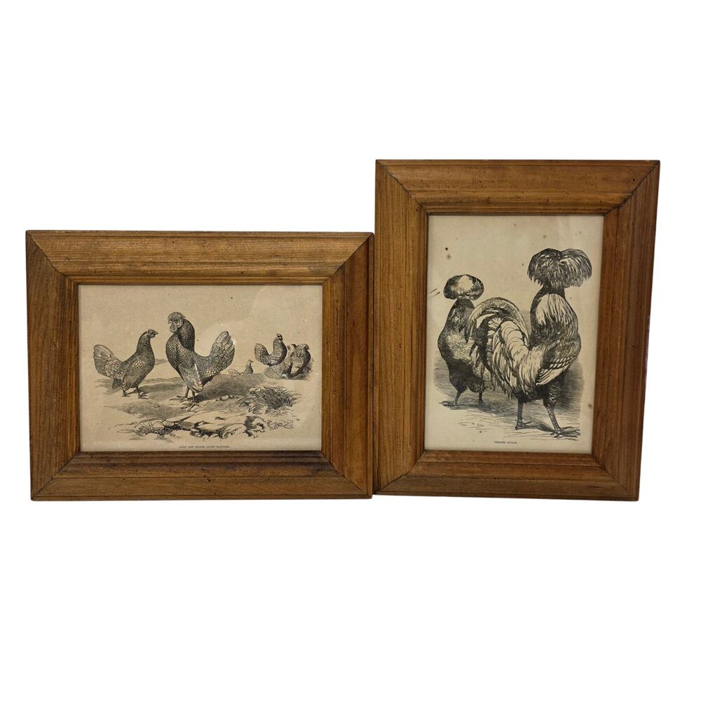 Antique Poultry Engravings Book Plate Pair Framed Farmhouse Chicken Art